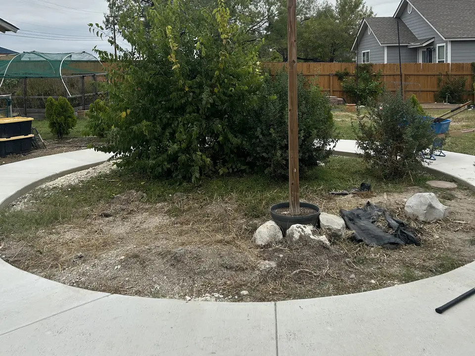 Overgrown bed to low-maintenance landscape · Before